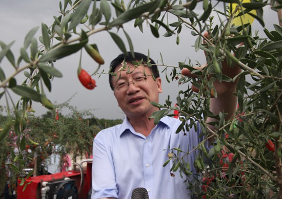 微信图片_20190627144450.jpg