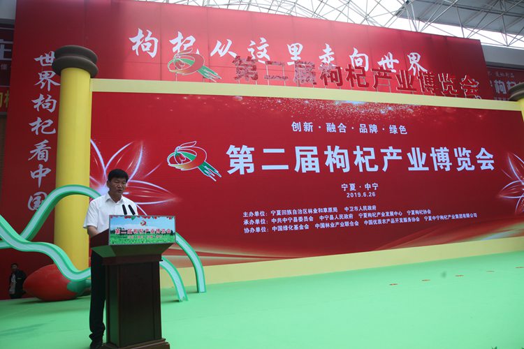 11-陈宏IMG_9480.JPG